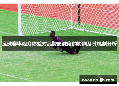 足球赛事观众体验对品牌忠诚度的影响及其机制分析