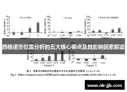 西格诺里位置分析的五大核心要点及其影响因素解读