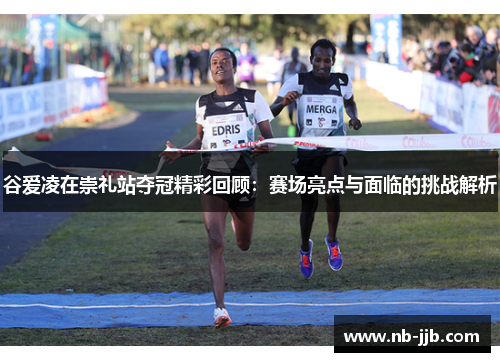 谷爱凌在崇礼站夺冠精彩回顾：赛场亮点与面临的挑战解析